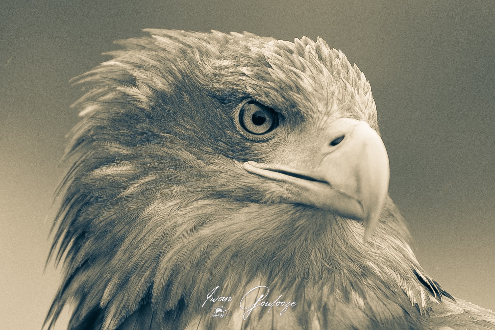 1DX45736 28 november 2021 1432 57